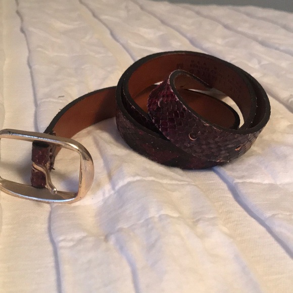 Accessories - The Limited Belt